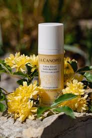 La Canopée- Crème réveil multivitaminée 50ml